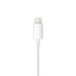 Hands Free Stereo Apple Earpods MWTY3 Lightning με Χειριστήριο & Μικρόφωνο (Ασυσκεύαστο) | Shopin.gr