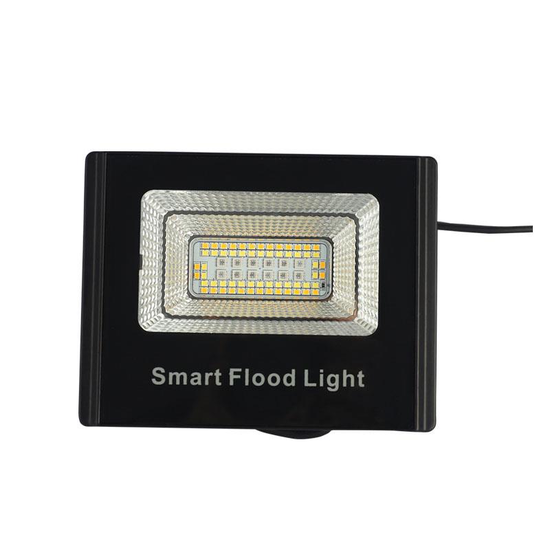 COOLSEER COL-RFL02W ΠΡΟΒΟΛΕΑΣ 24W