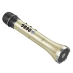 Ασύρματο Μικρόφωνο Hoco BK9 Singing 15W  με Λειτουργία Karaoke FM μετάδοση και BT / Audio Input Χρυσαφί | Μικρόφωνα - shopin.gr